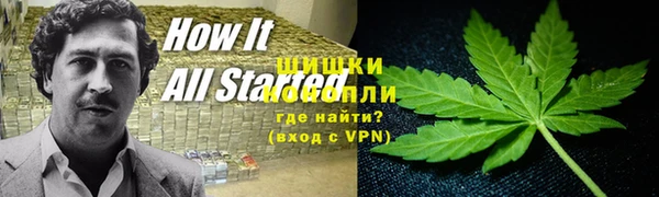первитин Богородицк