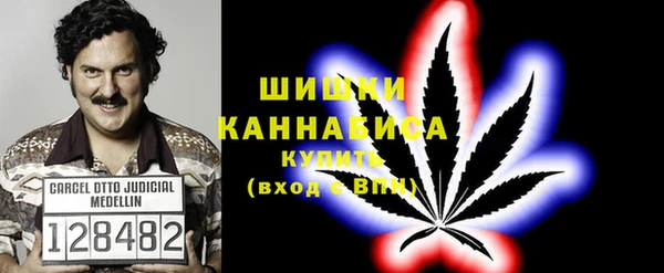 первитин Богородицк