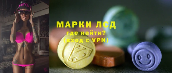 первитин Богданович