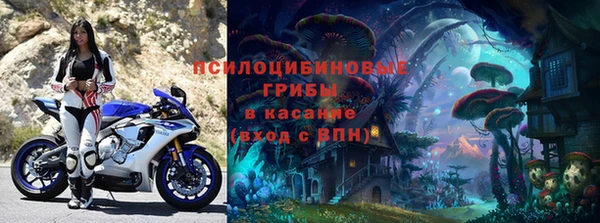 мескалин Бородино
