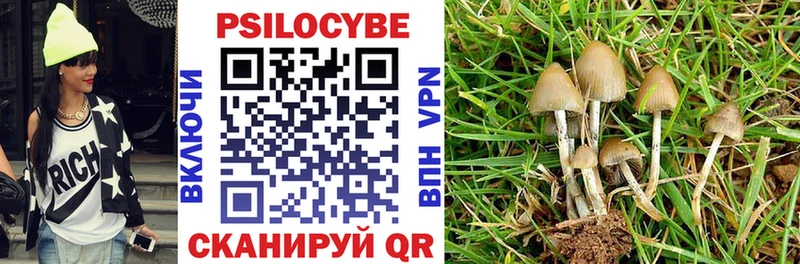 Галлюциногенные грибы прущие грибы МЕГА как войти Гатчина
